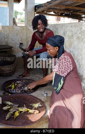 Zwei Frauen sind ausnehmen und gelben Fisch auf einem lokalen Fischmarkt in Nigeria Stockfoto