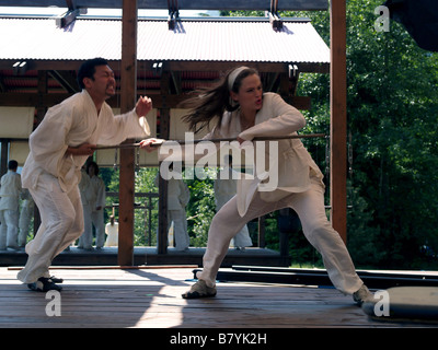 Elektra Jahr: 2005 USA Jennifer Garner Regie: Rob Bowman Stockfoto