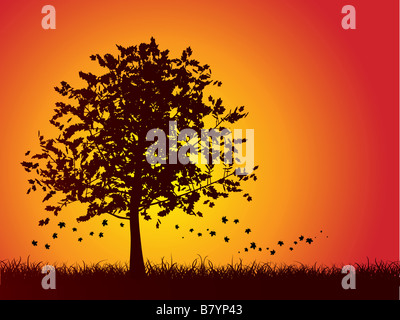 Silhouette eines Herbst Baum mit Blättern fallen Stockfoto