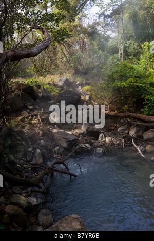 Dampf und Gase steigen aus vulkanischem Schlamm-Pool im Wald im Rincon De La Vieja Nationalpark in der Provinz Guanacaste, Costa Rica. Stockfoto