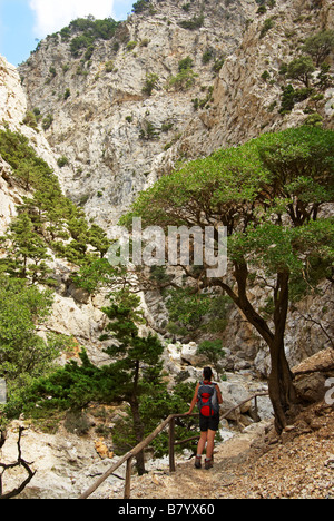 Wanderer im Rouvas Schlucht, Kreta, Griechenland Stockfoto