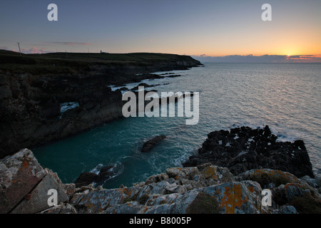 Galeere Kopf Stockfoto