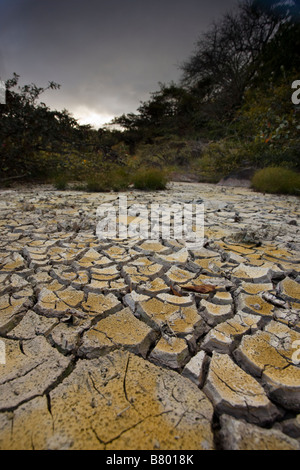 Getrocknete Schlamm Muster aus einer vulkanischen Mudpot am Vulkan Rincón De La Vieja Nationalpark in der Nähe von Liberia in Guanacaste Provinz von Costa Rica. Stockfoto