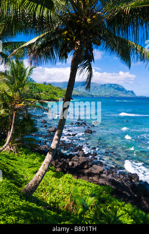 Hideaways Strand und die Na Pali Küste Insel Kauai Hawaii Stockfoto