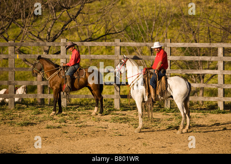 Cowboys auf Pferden in Guanacaste, Costa Rica sitzen. Stockfoto