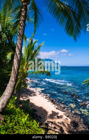 Hideaways Strand und die Na Pali Küste Insel Kauai Hawaii Stockfoto