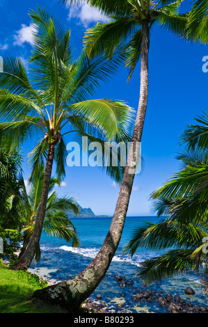 Hideaways Strand und die Na Pali Küste Insel Kauai Hawaii Stockfoto