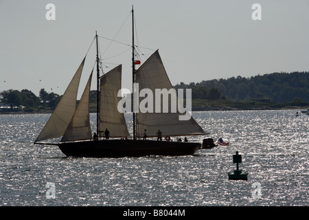 Amerikanischer Schoner, Portland, Maine, USA Stockfoto