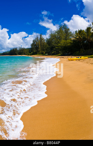 Kajaks am leeren Strand von Hanalei Bay Insel Kauai Hawaii Stockfoto