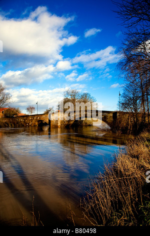 Der Fluss Derwent läuft hoch im Winter Stamford Bridge East Yorkshire Stockfoto