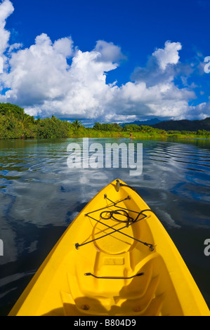 Kajak auf der ruhigen Hanalei River Insel Kauai Hawaii Stockfoto