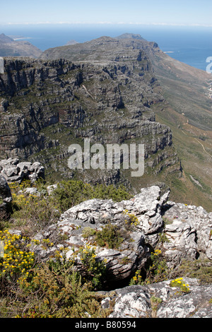 Blick auf die zwölf Apostel aus Tabelle Berg Kapstadt Südafrika Stockfoto