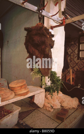 Camels Kopf mit Minze-Zweig im Mund hängen eine Metzgerei in der Medina von Fes, Marokko Stockfoto