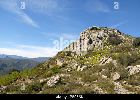 Blick auf die Berge und kleine Mandel Obstgarten, in der Nähe von Benimaurell, Vall de Laguar, Provinz Alicante, Comunidad Valenciana, Spanien Stockfoto