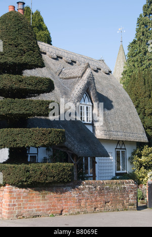 Yew Tree Cottage, Birdbrook, Essex, Großbritannien. Eine ordentlich beschnittene Eibe gibt diesem hübschen strohgedeckten Cottage seinen Namen Stockfoto