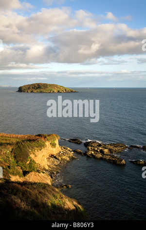 Looe Insel vom Festland cornwall Stockfoto