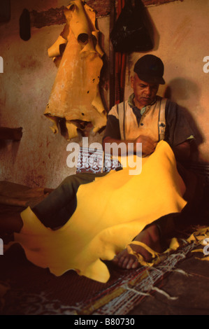 Lederbearbeiter schneidet Safran gefärbte Tierhaut an Chouwars Gerberei in der Medina/Altstadt, Fes el-Bali, Fes, Marokko Stockfoto