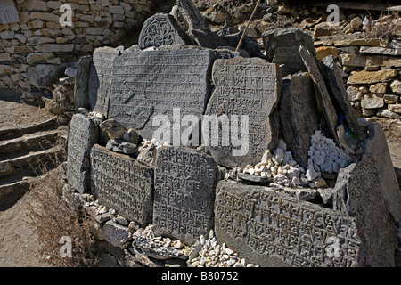 Ein lebendiger Glaube Mantras oder heilige Silben in Steinen am Wegrand zum Einsiedler Haus oberhalb Dingboche Dorfes Nepal geätzt Stockfoto