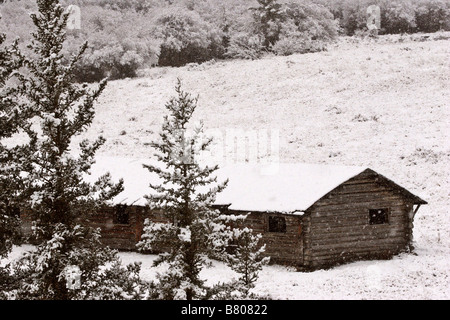 Verlassene Ranch-Haus im Winter in den Cypress Hills Stockfoto