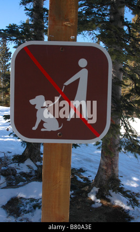 Ein "No Dogs" Zeichen auf einem Wanderweg in Colorado. Stockfoto