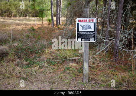 Crooked River State Park St. Marys Georgia GA USA-USA-Vereinigte Staaten von Amerika-Nordamerika Stockfoto