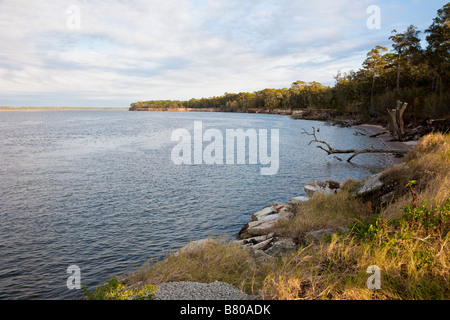 Crooked River State Park St. Marys Georgia GA USA-USA-Vereinigte Staaten von Amerika-Nordamerika Stockfoto