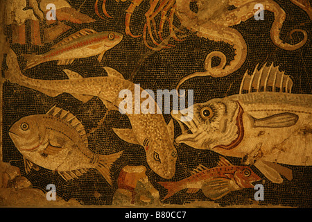 Fische. Mosaik aus Pompeji im Archäologischen Nationalmuseum in Neapel, Italien. Stockfoto