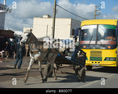 Mann auf Pferdekutsche vor Bus in Marokko Stockfoto