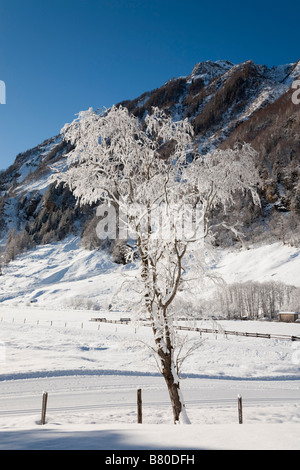 Januar Winter schnee Szene in den österreichischen Alpen. Belmontet Rauriser Sonnen Tal Nationalpark Hohe Tauern Österreich Stockfoto