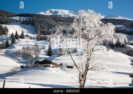 Bucheben Rauriser Sonnen Tal Österreich Januar Winter Schnee-Szene in den österreichischen Alpen nach schweren Schneefall Stockfoto