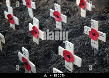 Erinnerung-Tag-Mohn und Kreuze, England, Uk Stockfoto