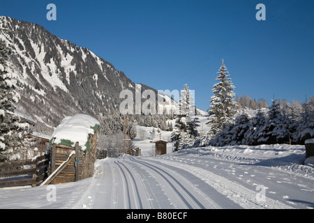 Bucheben Österreich EU Januar Suche entlang eine Langlauf-Loipe Stockfoto