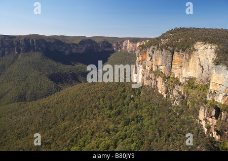 Blick über Grose Valley aus Govetts Leap Lookout Blue Mountains New South Wales Australien Stockfoto