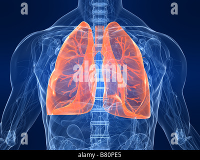hervorgehobene Lunge Stockfoto