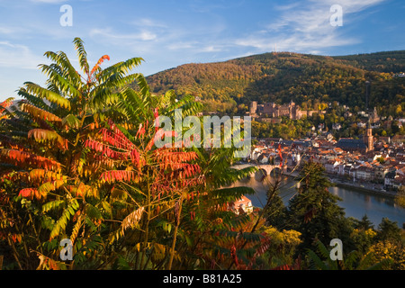 Heidelberg, Deutschland im Herbst. Blick vom Philisopher Spaziergang Stockfoto