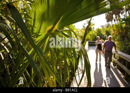 EVERGLADES FLORIDA USA - paar auf Promenade auf dem Mahagoni-Hängematte-Trail in den Everglades National Park Stockfoto