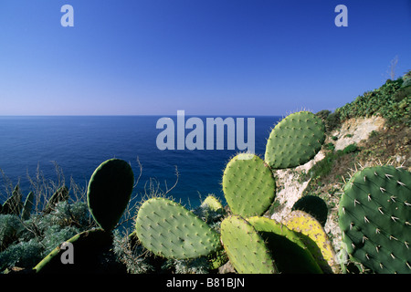 Italien, Kalabrien, Capo Vaticano Stockfoto