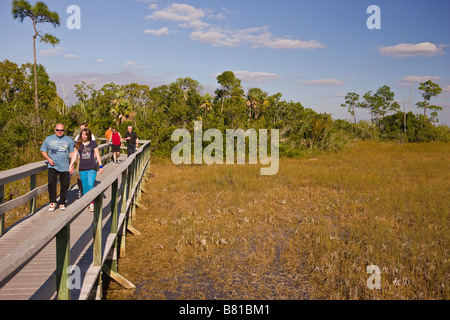 EVERGLADES FLORIDA USA - Touristen am Boardwalk Mahagoni Hängematte Trail in den Everglades National Park. Stockfoto
