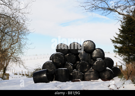 Umwickelte Silageballen im Schnee Black Mountain Carmarthenshire Wales Stockfoto