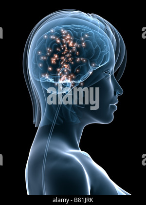 aktive menschliche Gehirn Stockfoto