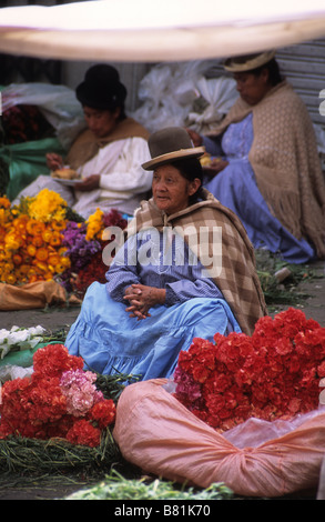 Aymara Dame oder Cholita verkauft Blumen im Mercado Rodriguez, einem typischen Straßenmarkt in der Nähe des Stadtzentrums, La Paz, Bolivien Stockfoto