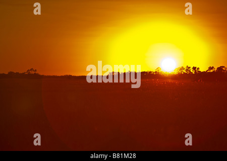EVERGLADES FLORIDA USA - Sonnenuntergang in Everglades Nationalpark Stockfoto