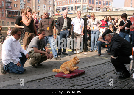 Garfield II/Garfield 2 - tournage Garfield: A Tail von zwei Jahr Kätzchen: 2006 USA tournage Regie: Tim Hill Stockfoto