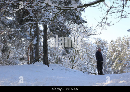 Mann im Wald im Winter Esher Surrey England Stockfoto