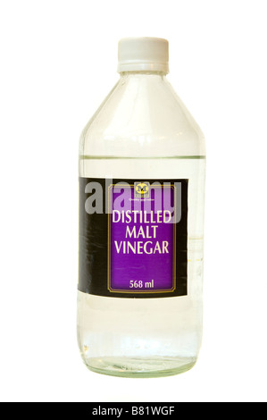 Glas Flasche von Morrisons destilliert weißer Malzessig Stockfoto
