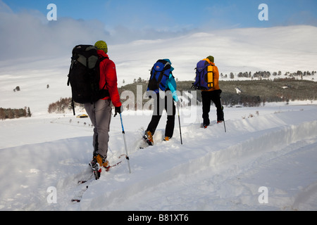 Schottische Schneelandschaft mit drei Personen Skifahren. Männliche & weibliche Skifahrer nach Schneefall, Braemar, Cairngorms National Park, Highlands, Schottland, Großbritannien Stockfoto