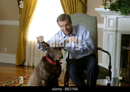 American Dreamz Jahr: 2006 USA Dennis Quaid Regie: Paul Weitz Stockfoto