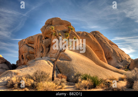 Joshua Tree Nationalpark Jumbo Rocks Bereich dramatische Monzogranite sedimentär Kalifornien Stockfoto