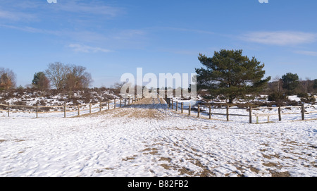 Frensham großen Teich Schnee Surrey UK Stockfoto