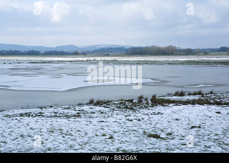 RSPB Naturschutzgebiet mit Eis bedeckt. Pulborough Brooks Sussex UK Stockfoto